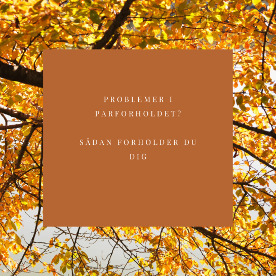 billede til BLOG problemer i parforholdet